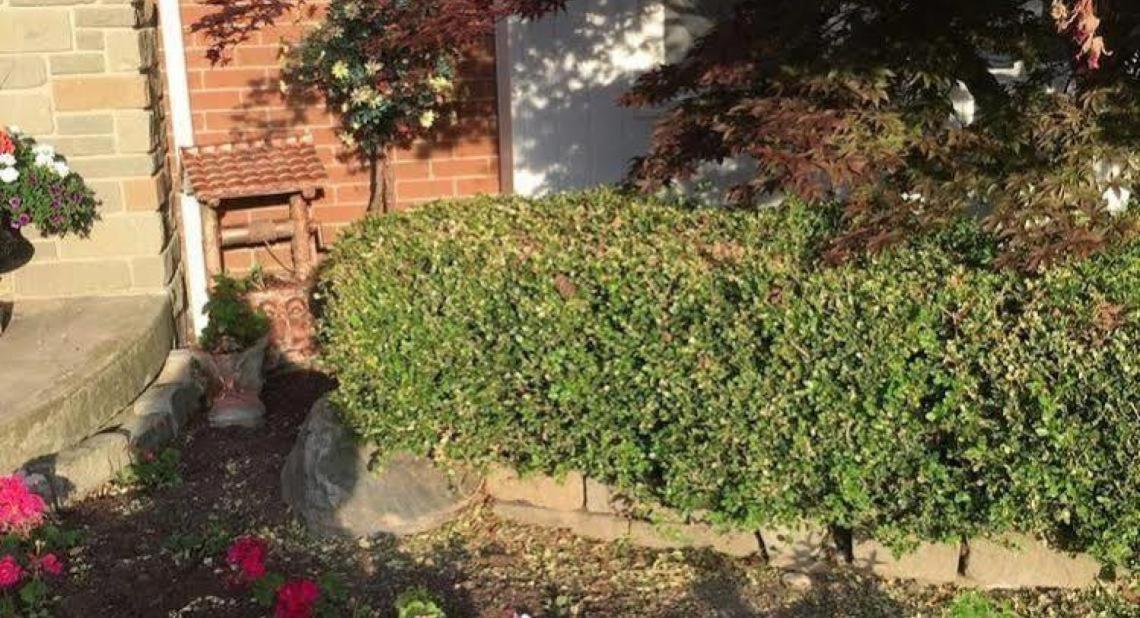 Niagara-on-the-Lake Cobblestone Bed And Breakfast المظهر الخارجي الصورة